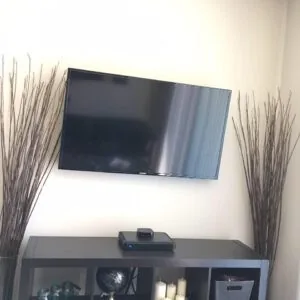 Wall-mounted TV in living room